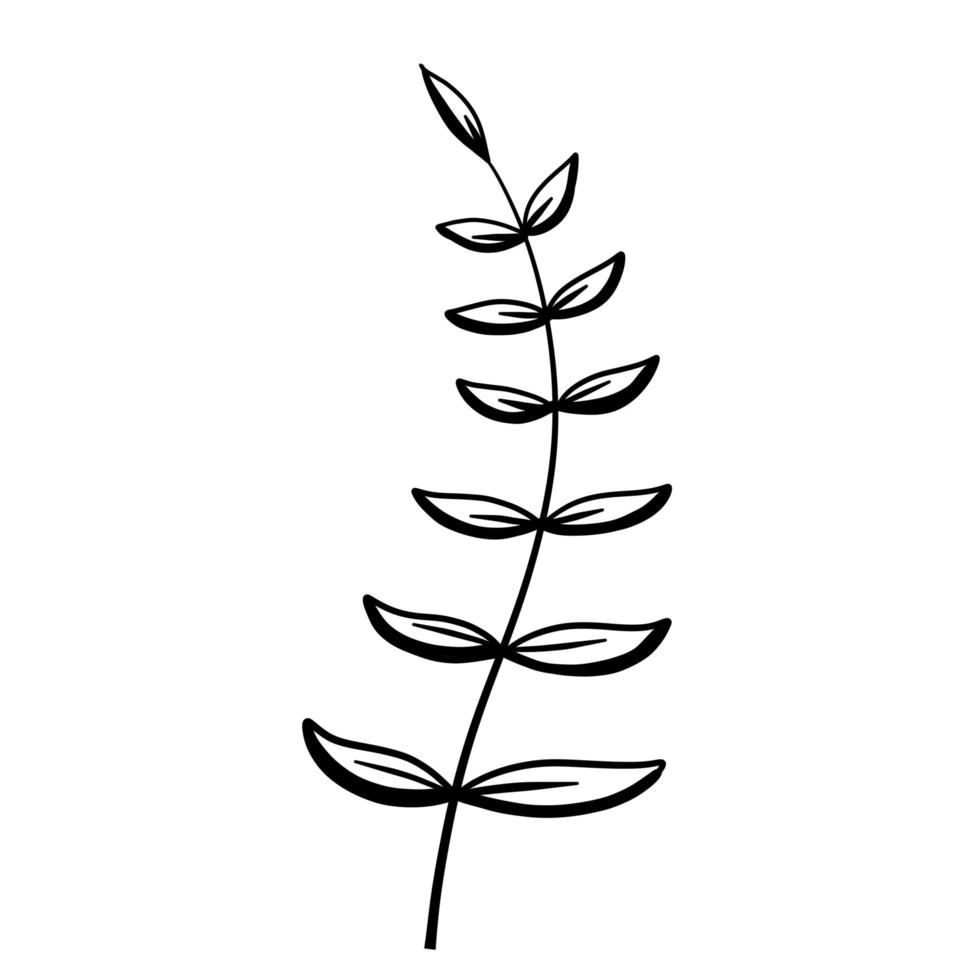 planta natural. flor abstrata doodle. caule com folhas vetor