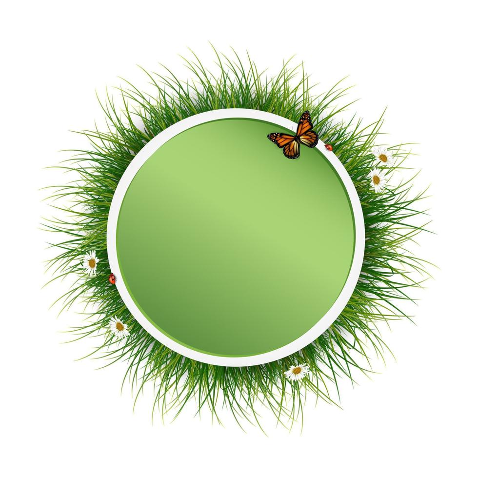 quadro de círculo com grama verde e vetor de borboleta