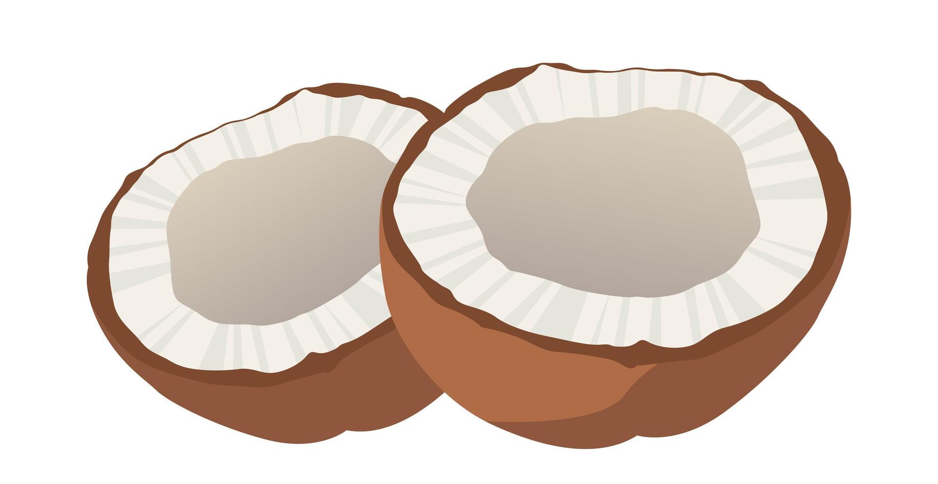 fundo branco realista de coco fresco e leite de coco - vetor
