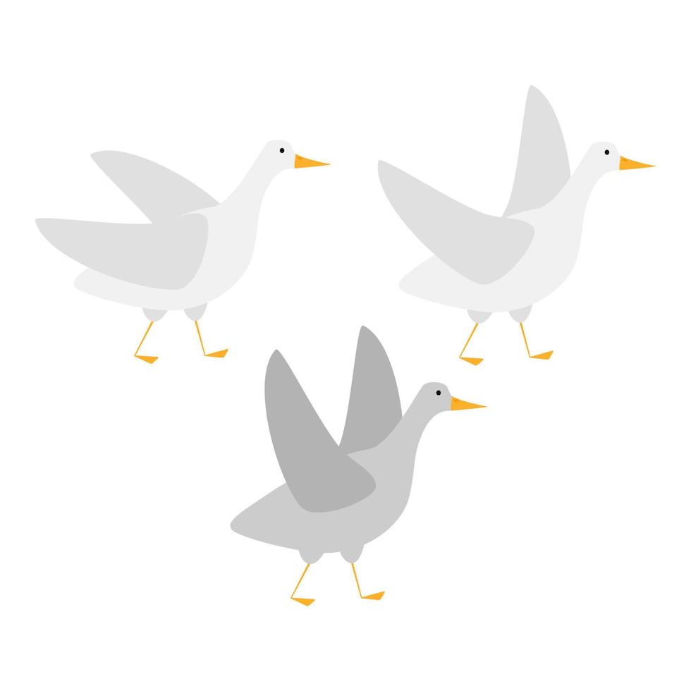 ilustração plana de ganso. ilustração de um ganso em fundo branco. vetor