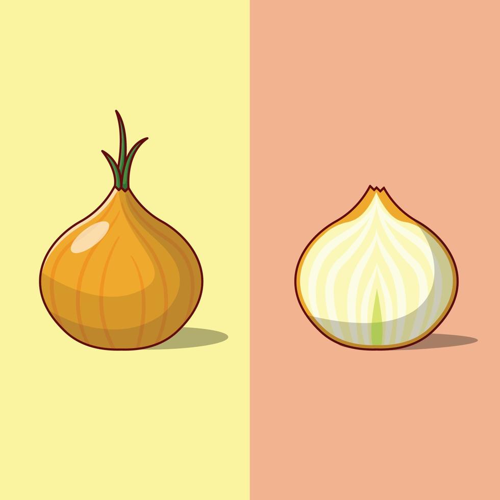 ilustração vetorial de cebola inteira e meia. ingrediente de cozimento. especiarias. estilo de desenho plano adequado para ícone, página de destino da web, banner, panfleto, adesivo, cartão, plano de fundo, camiseta, clip-art vetor