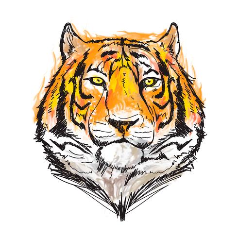 ilustração em vetor aquarela tigre incrível