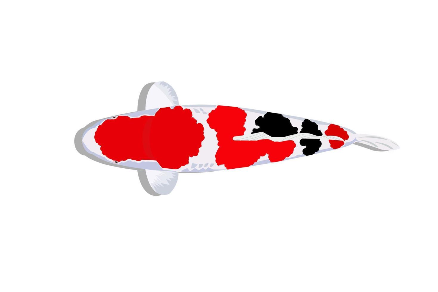 ilustração vetorial de peixe koi de fundo isolado de peixinho japonês vetor