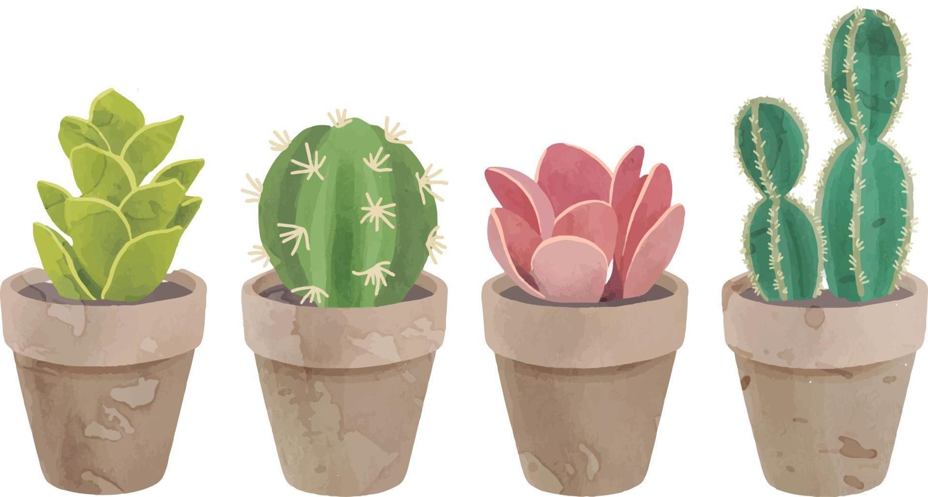 coleção de cactos fofos em aquarela vetor