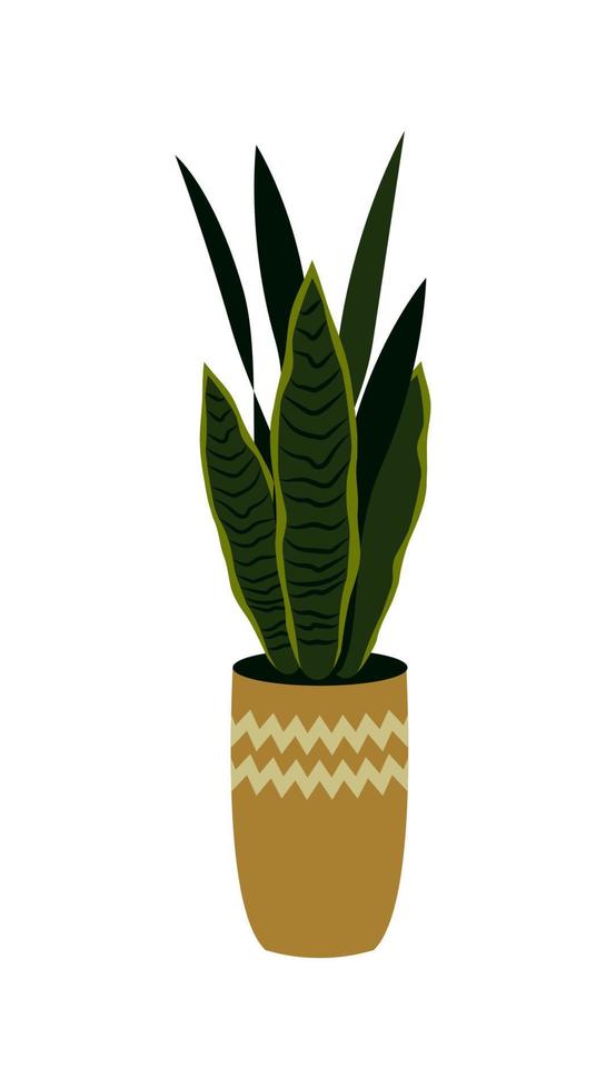 ilustração em vetor de uma sansevieria em vaso isolada no branco. planta em casa em uma panela. elemento de design de interiores.