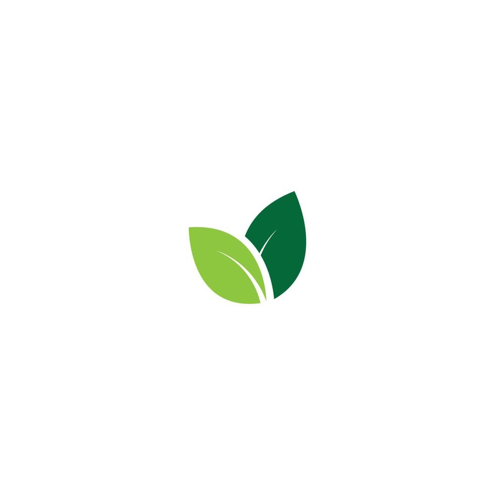 logotipos do vetor de elemento de natureza de ecologia de folha de árvore verde