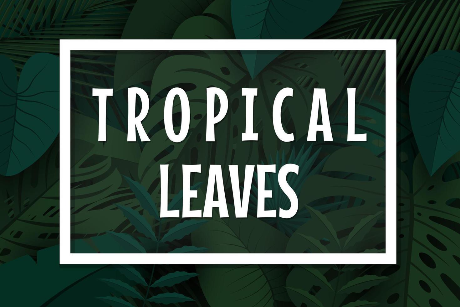 fundo de folhas tropicais com plantas da selva vetor