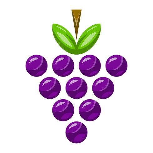 Bunch of Grapes Fruit Comida Lanche Saudável vetor