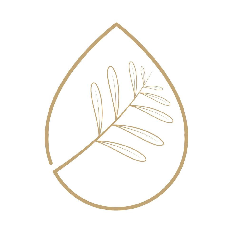 água de gota de luxo com linhas de azeite logotipo símbolo vetor ícone ilustração design gráfico
