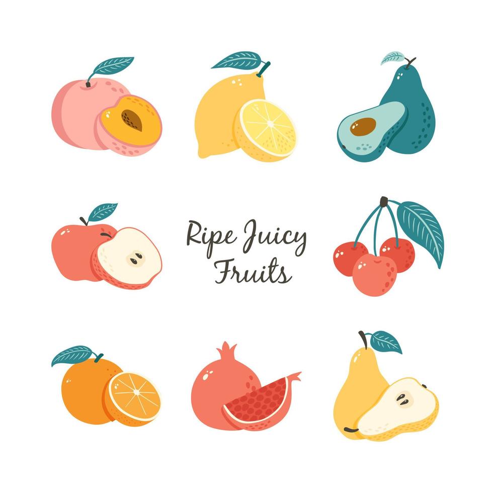 doodle conjunto de frutas. coleção de ilustrações de frutas desenhadas à mão para rótulo de mercado, logotipo, adesivo, menu, design e decoração de embalagens de alimentos vetor
