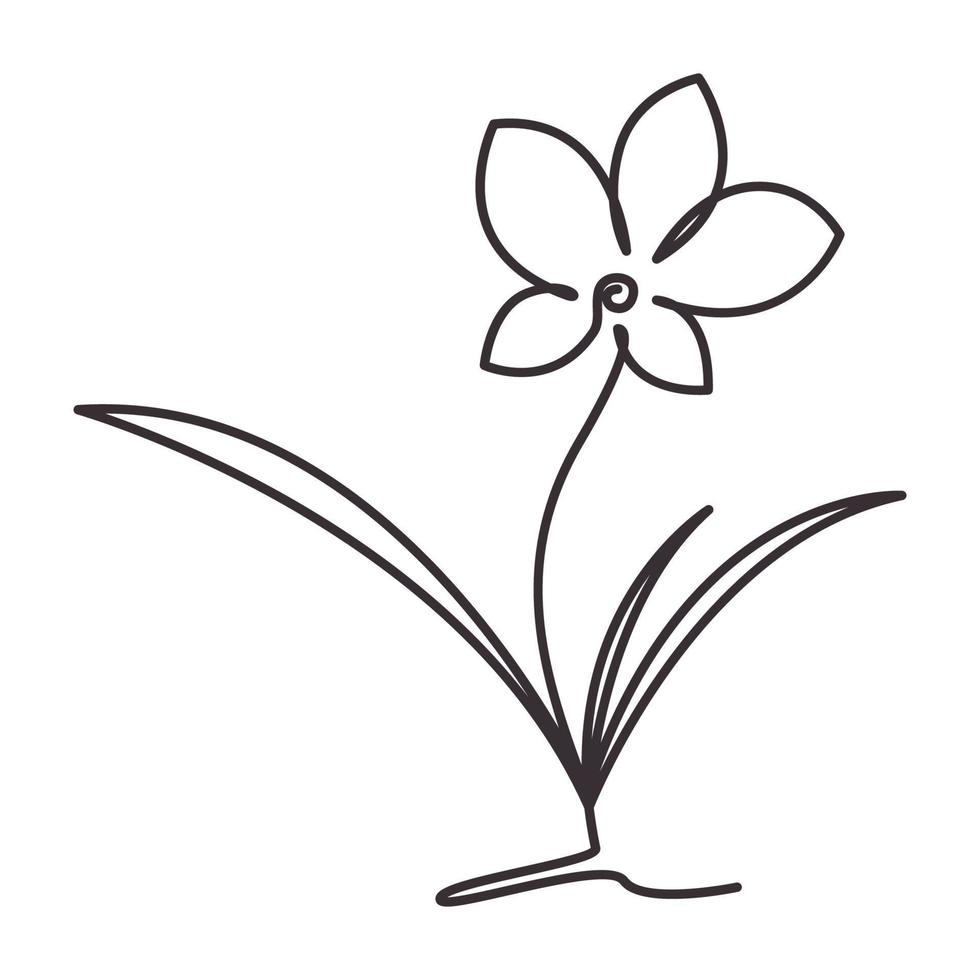 hipster flor orquídea linhas logotipo símbolo ícone vetor design gráfico ilustração