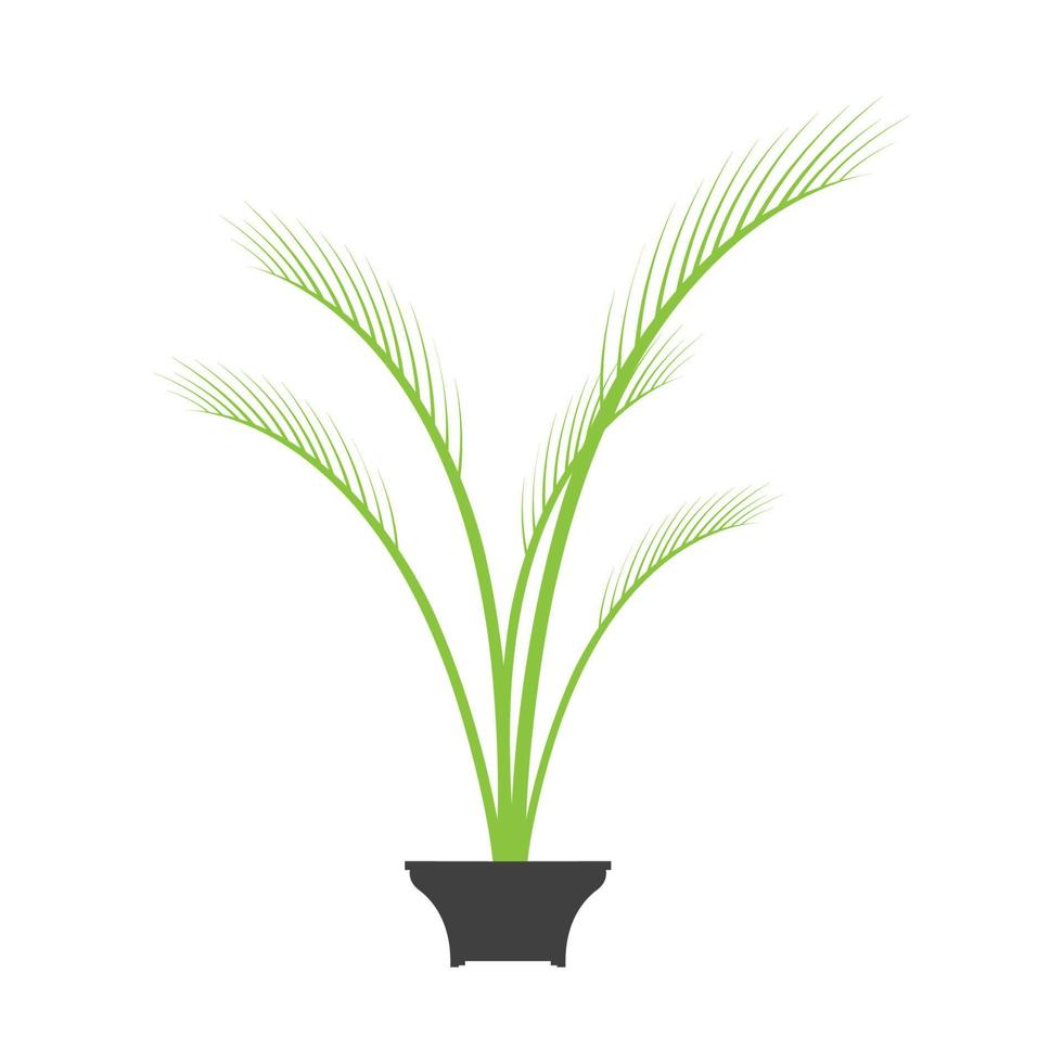 planta Phoenix palm logotipo símbolo vetor ícone ilustração design gráfico