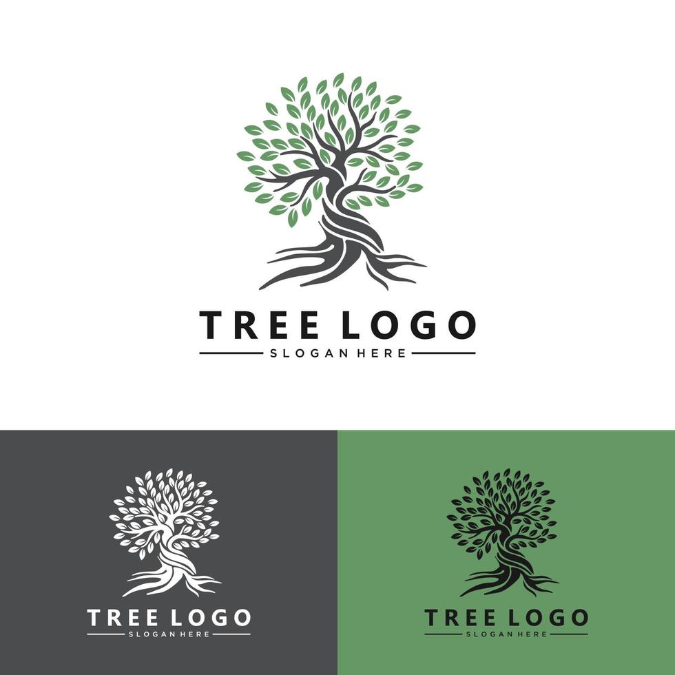 design de logotipo de árvore vibrante abstrato, vetor de raiz - inspiração de design de logotipo de árvore da vida isolada no fundo branco.