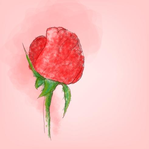 Único vector rosa vermelha com estilo aquarela