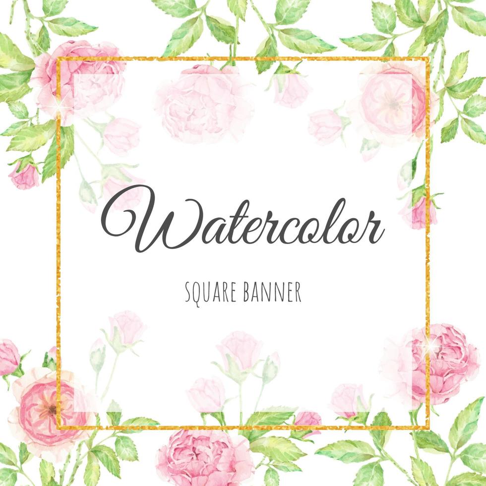 aquarela lindo jardim de buquê de flores rosas inglesas com fundo de banner quadrado dourado vetor