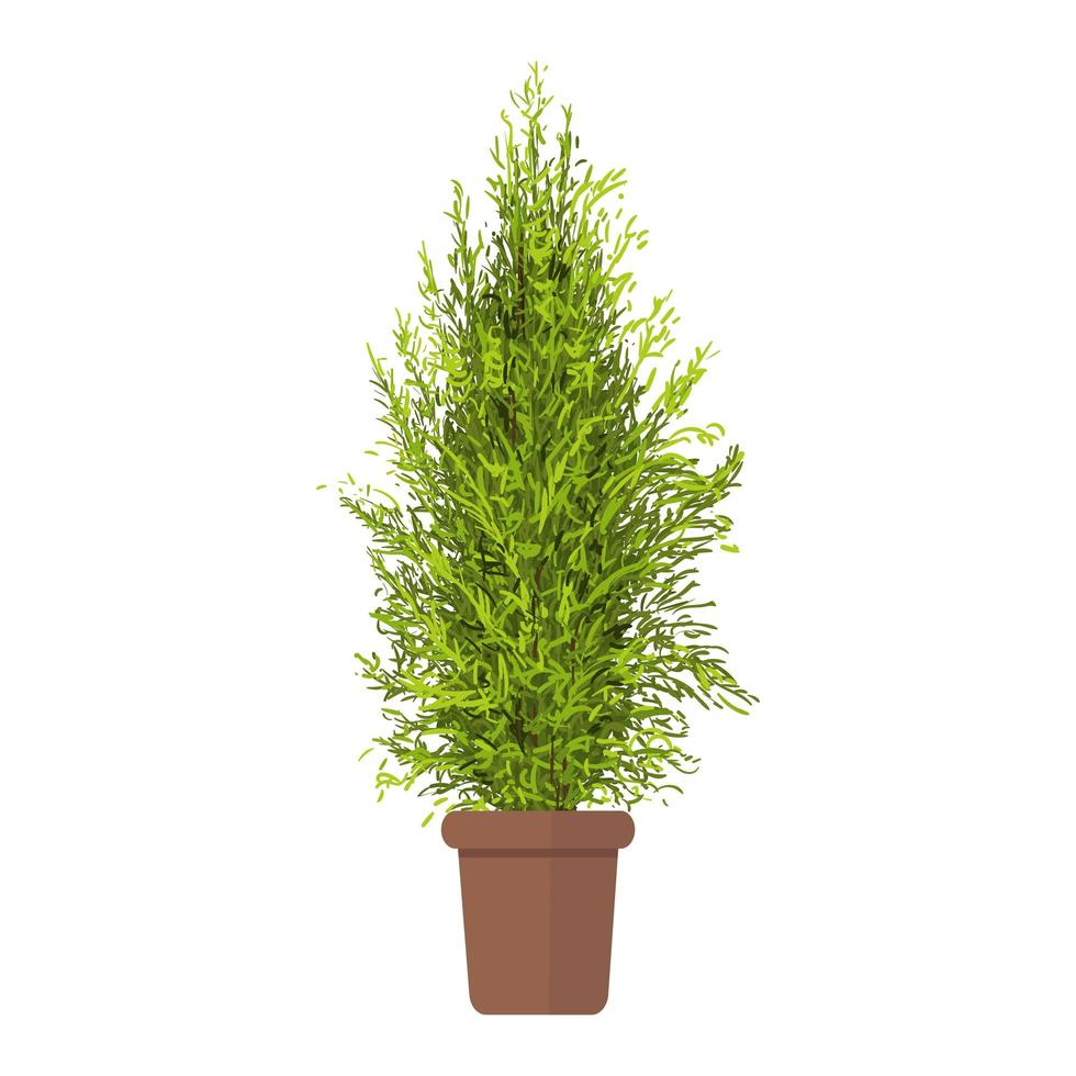 thuja na ilustração de pote vetor