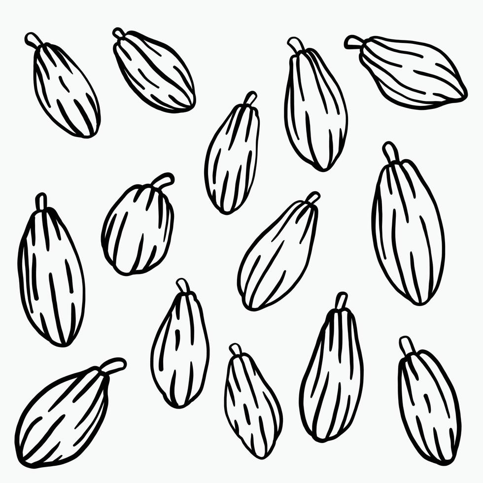 desenho de doodle de frutas de cacau em fundo branco. vetor