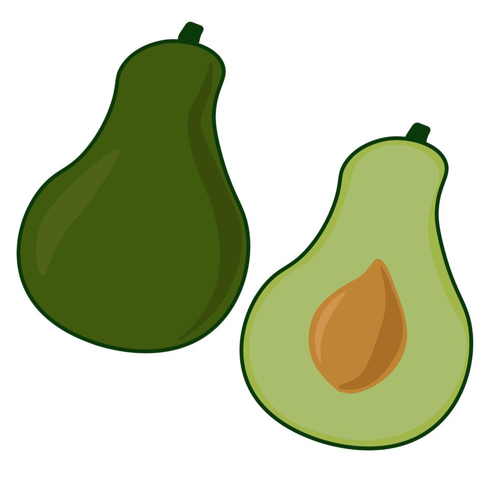 abacate, inteiro e meio, um vegetal verde popular vetor