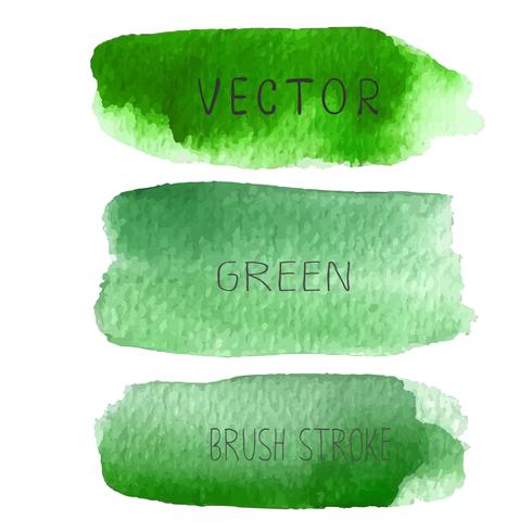 O grupo de escova verde afaga a aquarela no baclground branco, ilustração do vetor. vetor