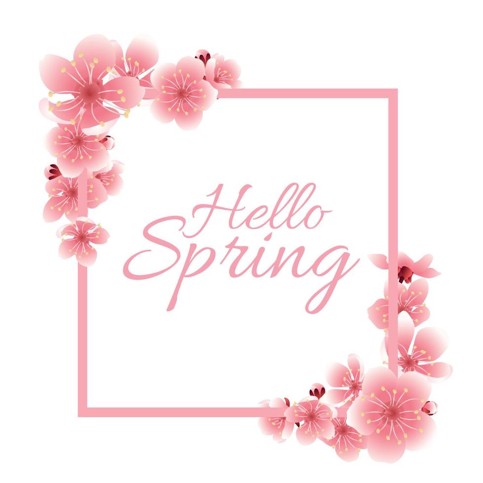 modelo de cartão de vetor com flores flores. banner de primavera de flor de cerejeira hanami com sakura rosa desabrochando no fundo branco em moldura quadrada rosa.