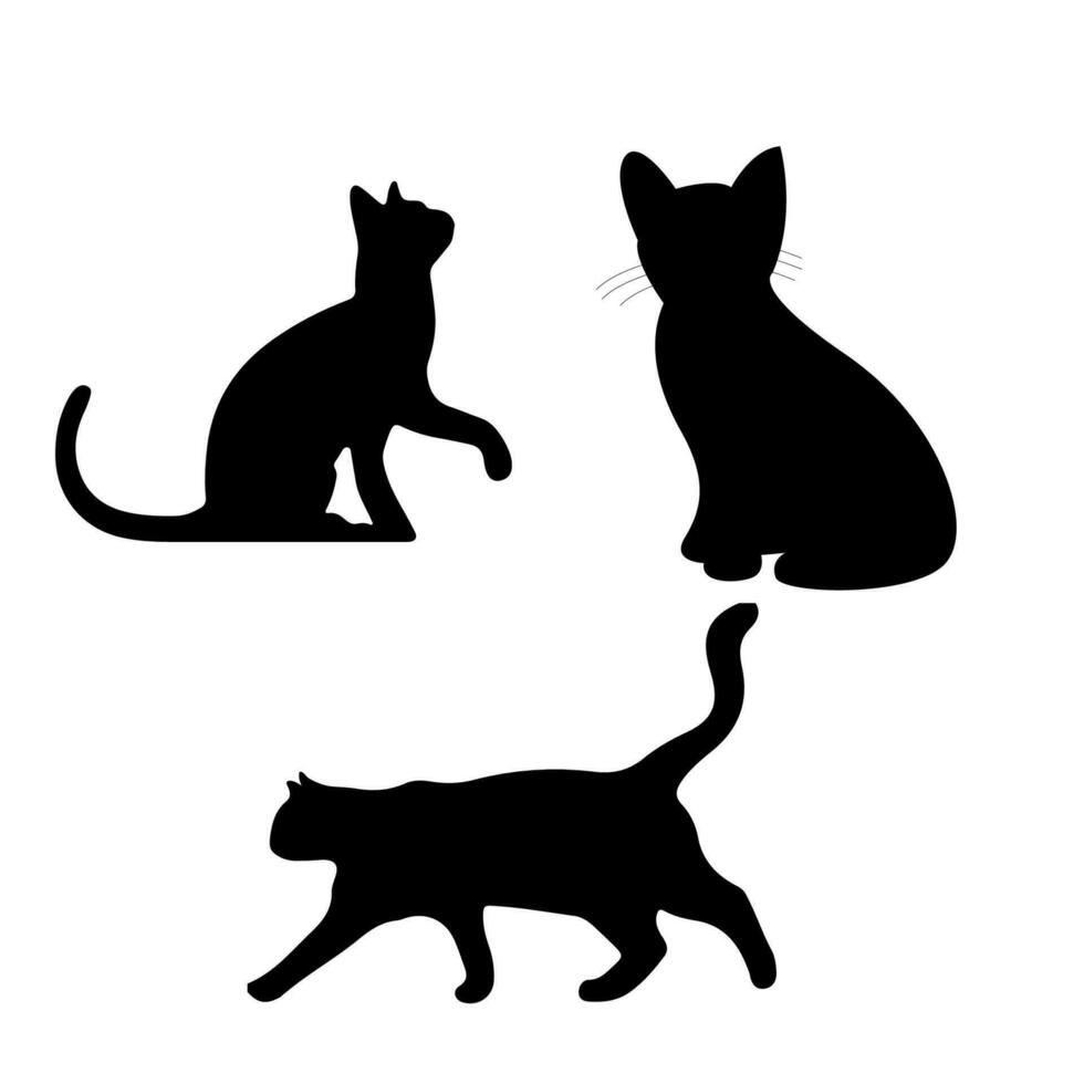 silhueta de gatos em black.vector ilustração vetor