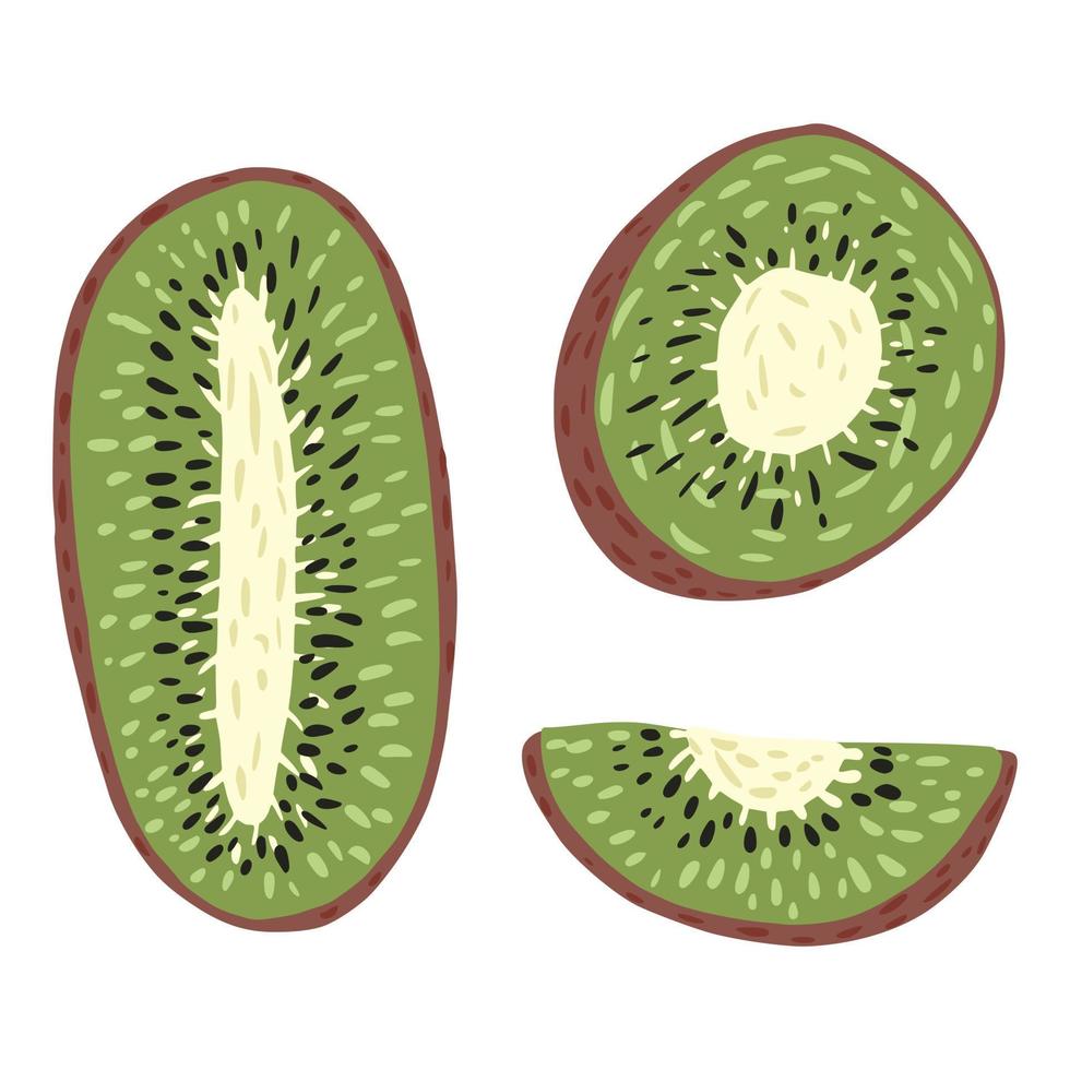 definir kiwi isolado no fundo branco. desenhos animados bonitos frutas tropicais metade, meia volta e fatia. vetor