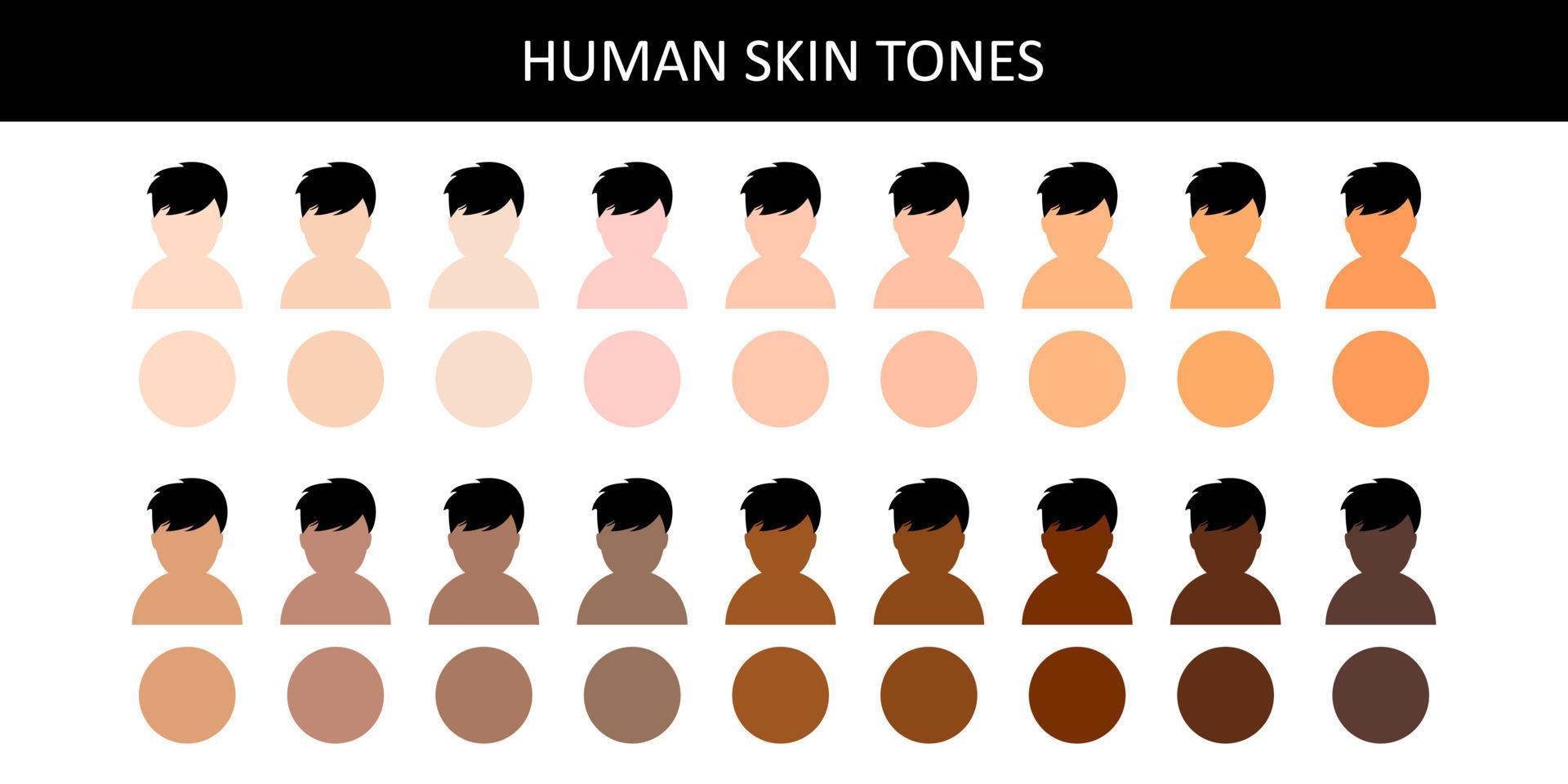 tons de pele humana. tons de pele humana. várias cores de pele do corpo. vetor
