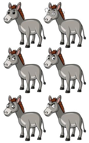 Burro com diferentes expressões faciais vetor