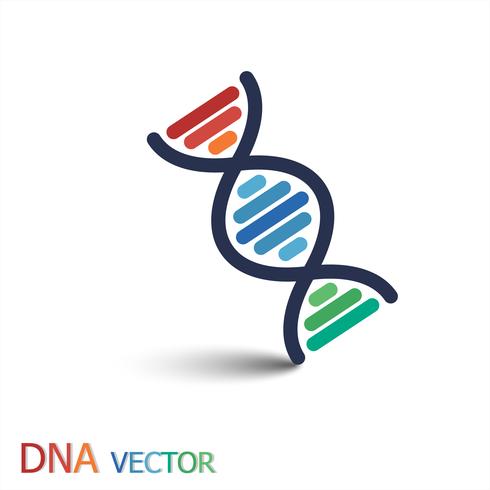 DNA (ácido desoxirribonucleico) símbolo (DNA de fita dupla) vetor