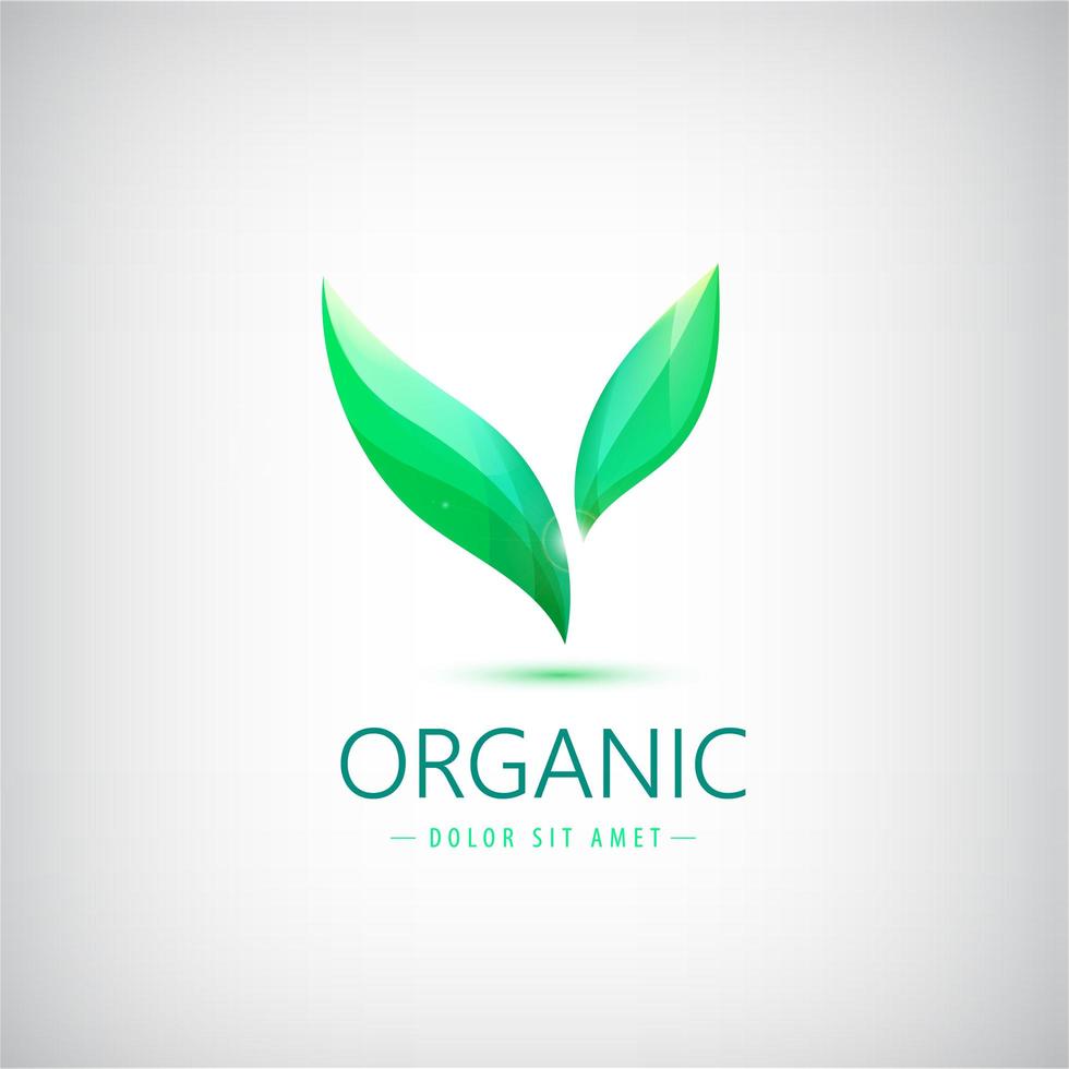 logotipo ecológico vetorial, produto orgânico, ícone da loja vetor