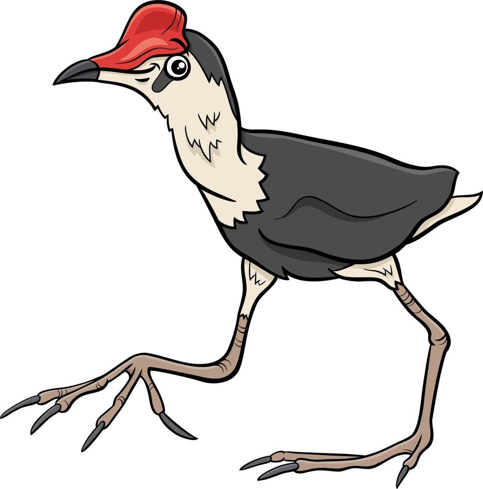 ilustração de desenho animado de personagem animal pássaro jacana vetor