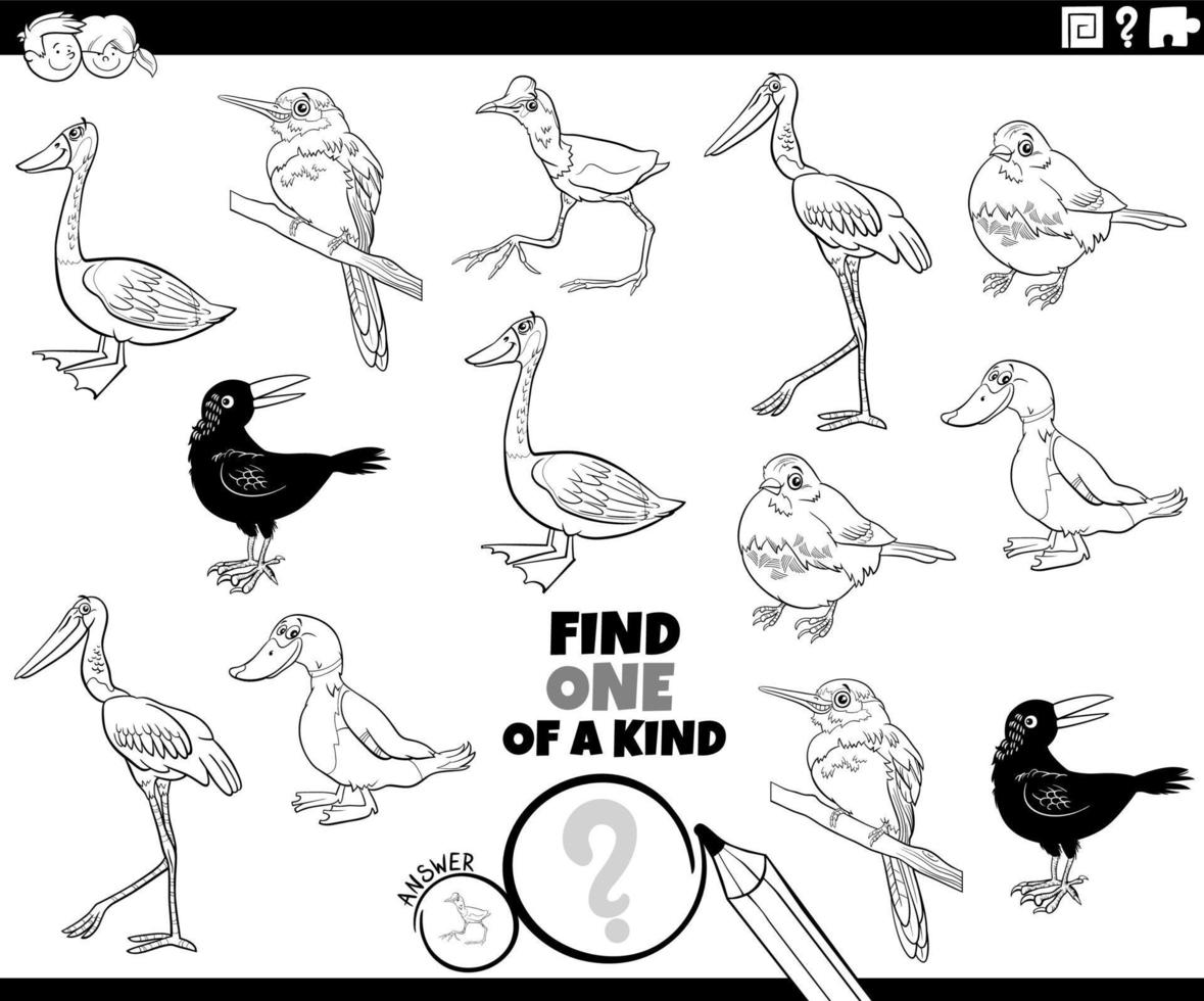 página do livro para colorir de pássaros de desenho animado vetor