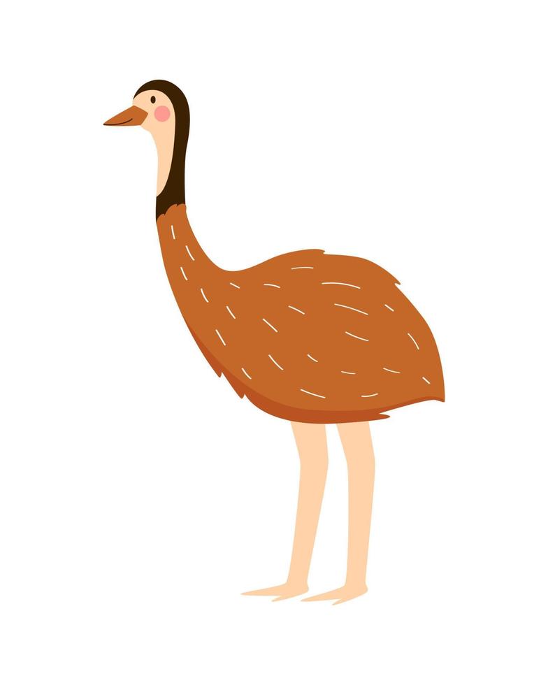 grande pássaro australiano que não voa. ilustração vetorial de avestruz emu vetor