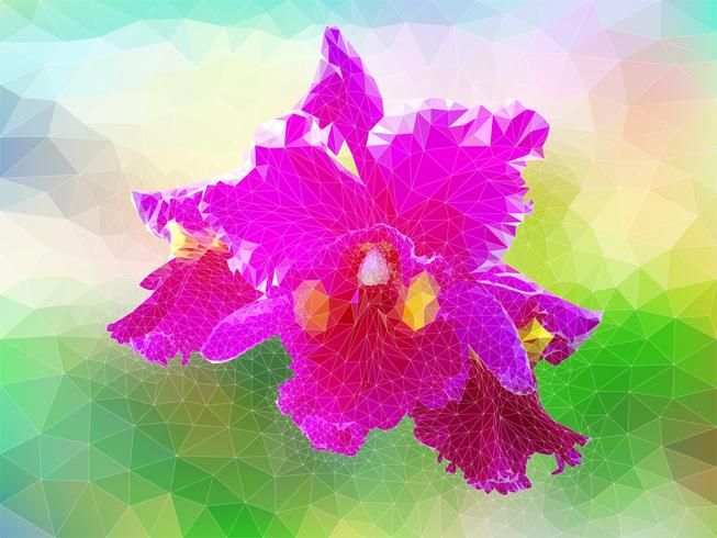 Orquídea de vetor de polígono