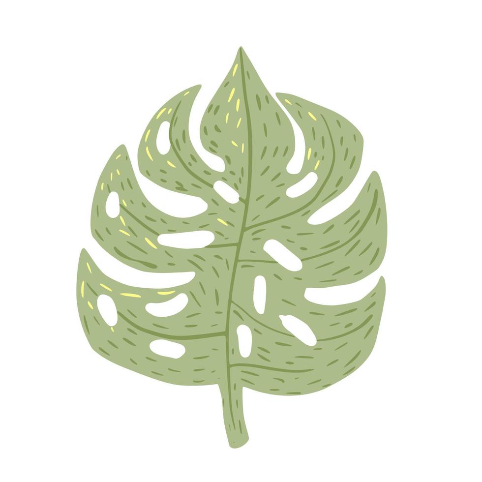 monstera isolado no fundo branco. cor verde folha tropical abstrata no estilo doodle. vetor