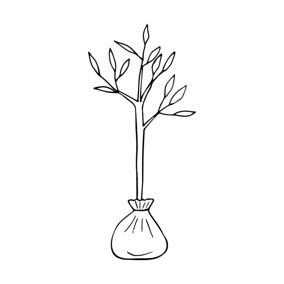 doodle desenhado de mão de mudas. , minimalismo, escandinavo, monocromático, nórdico. jardinagem, planta jovem, plantio de árvores. adesivo, ícone. vetor