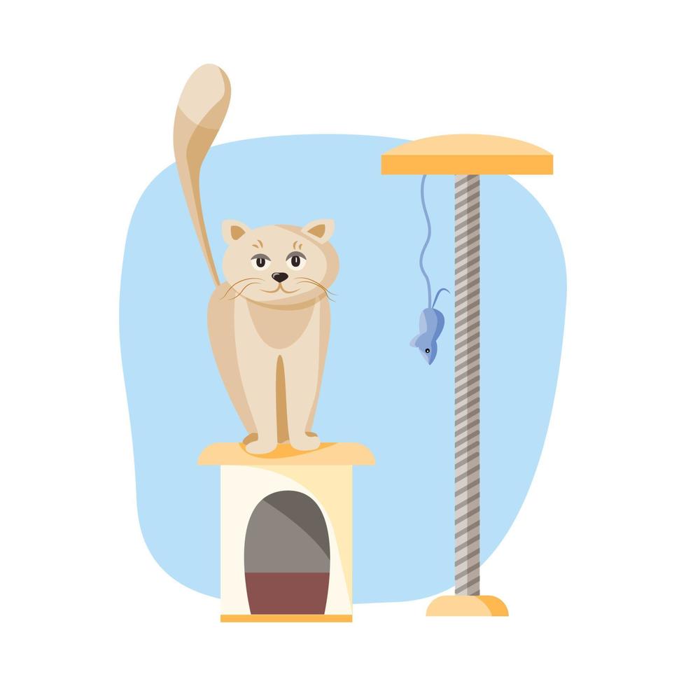 gato, seus elementos de ícone de casa e rato vetor