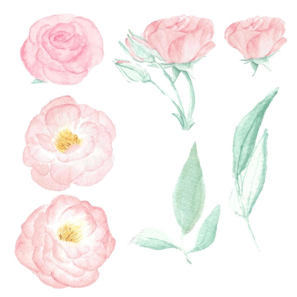 coleção de elementos de rosa selvagem rosa aquarela isolada no fundo branco vetor