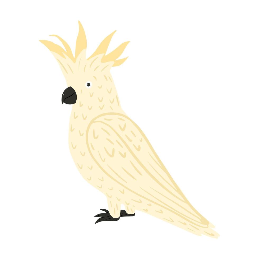 cacatua papagaio isolada no fundo branco. bonito personagem tropical pássaro cor branca. vetor