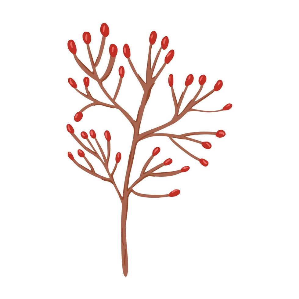 bagas em galho isolado no fundo branco. mão de esboço de cor vermelha de baga botânica abstrata desenhada em estilo doodle. vetor