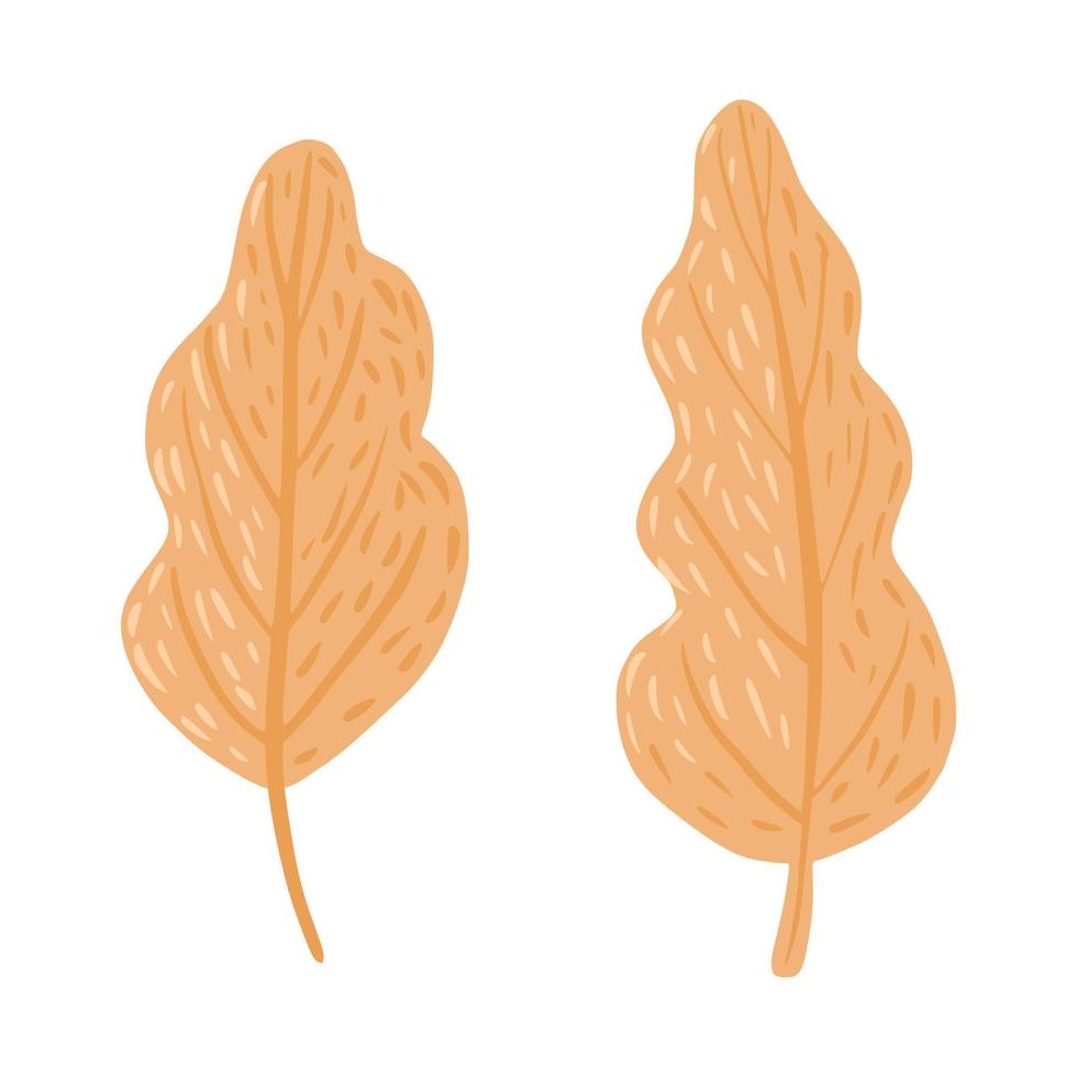 folha de kit isolada no fundo branco. Botânica escandinava outono temporada desenhada à mão em estilo doodle. vetor