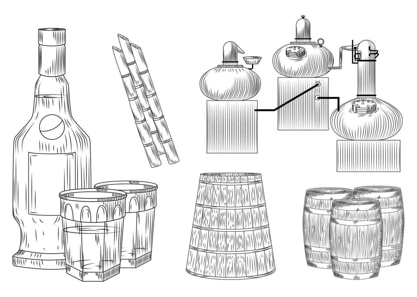 definir álcool cachaça no estilo doodle em fundo branco. copo e garrafa, cana-de-açúcar, barril, alambique. gravura contorno preto estilo vintage. vetor