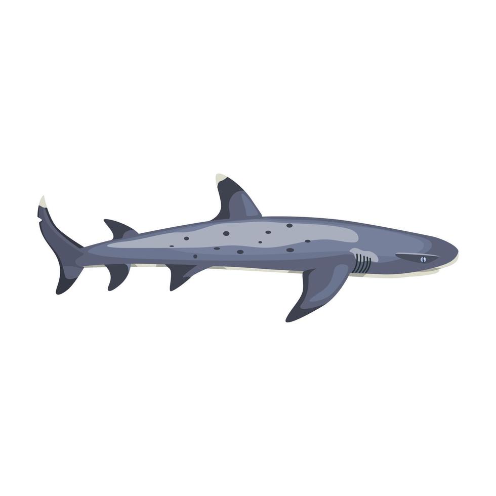 tubarão de recife isolado no fundo branco. personagem de desenho animado do oceano para crianças. vetor