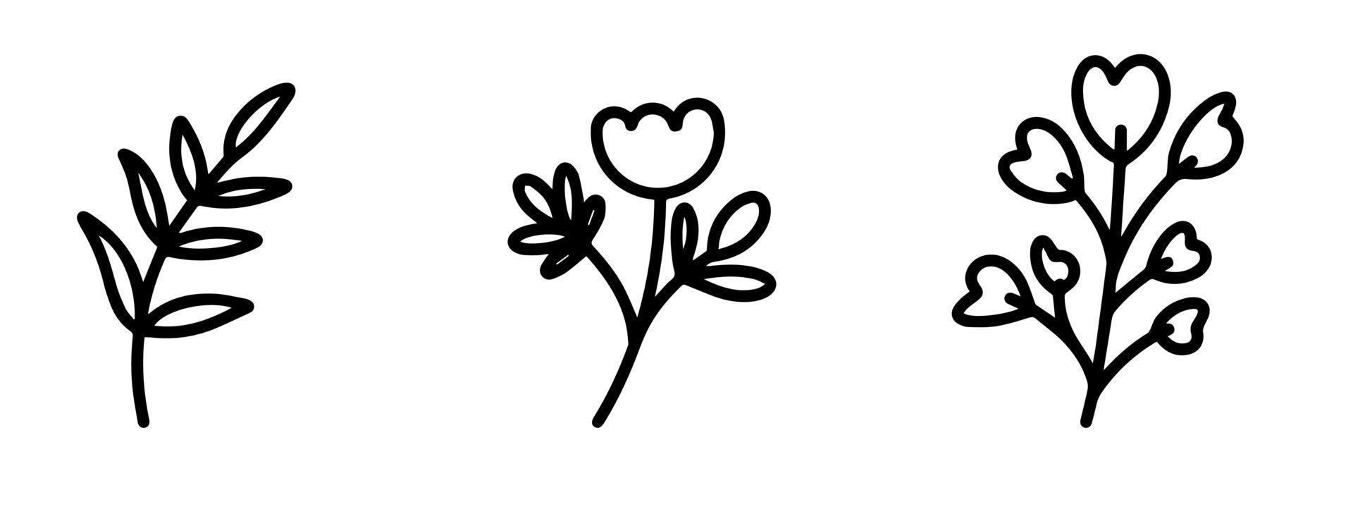 coleção de elementos botânicos para o design de cartões postais, convites, criação de logotipos ou banners. flores de vetor preto e branco, bagas, galhos e folhas para design. estilo doodle simples e plano.