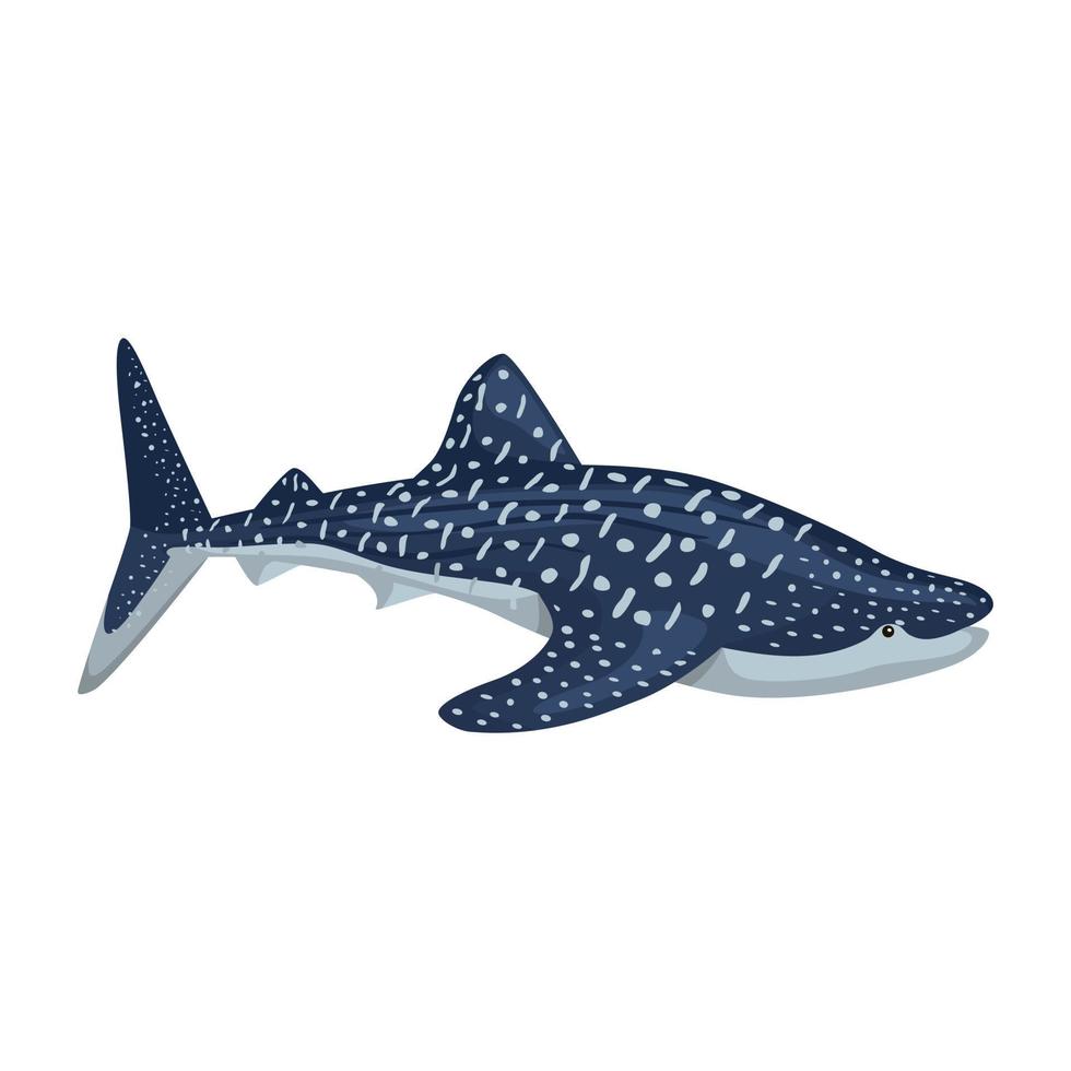 tubarão-baleia isolado no fundo branco. personagem de desenho animado do oceano para crianças. vetor