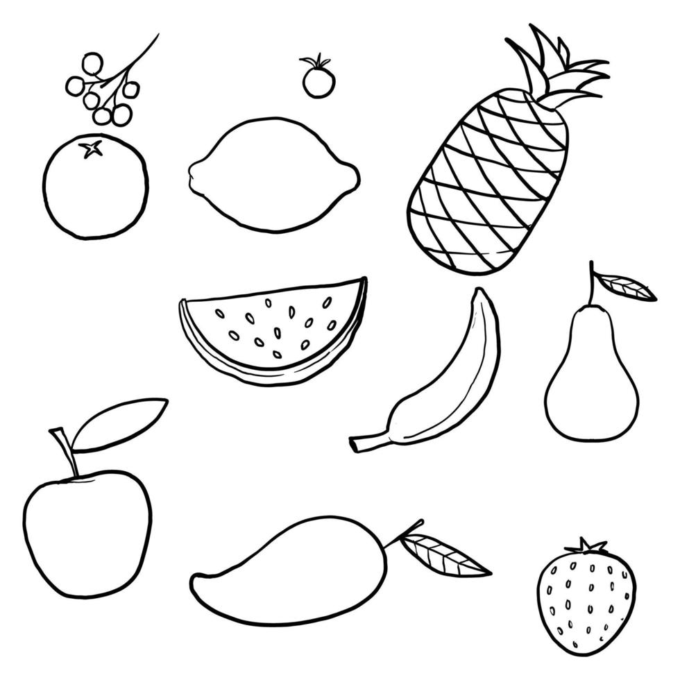 frutos de doodle desenhados à mão. frutas tropicais naturais, rabiscos laranja cítrica e vitamina limão. maçã de cozinha vegan desenhada à mão, frutas orgânicas ou comida vegetariana. vetor