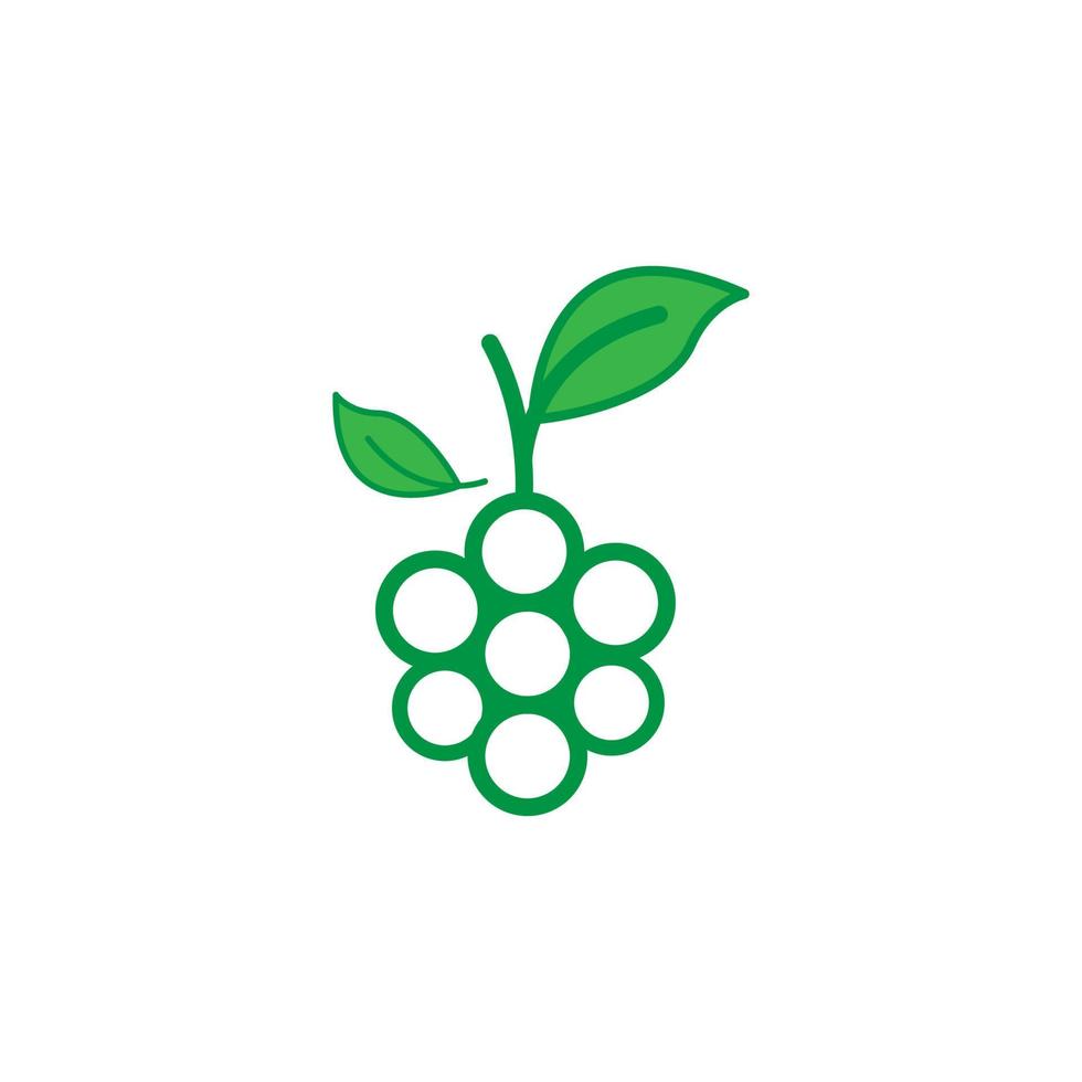 fruta fresca uva verde design de logotipo colorido vetor gráfico símbolo ícone ilustração ideia criativa