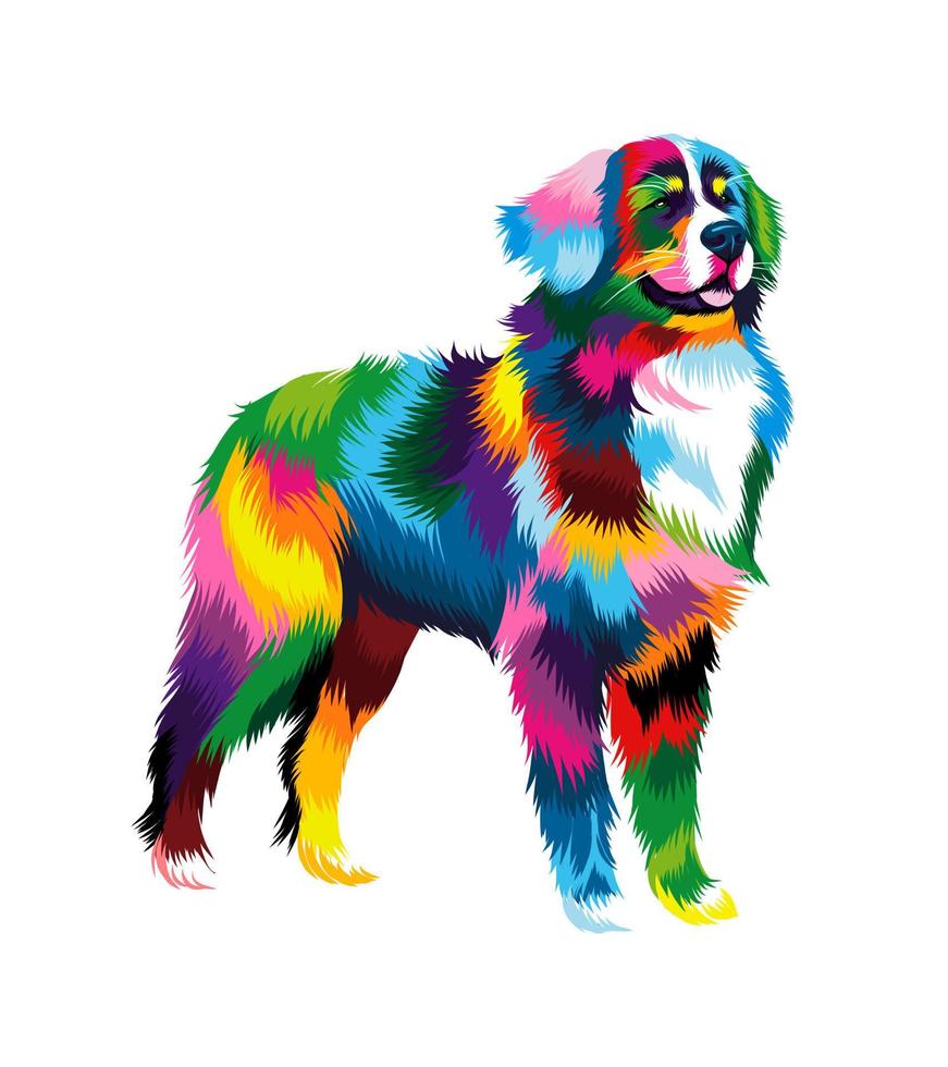 cão de montanha bernese abstrato de tintas multicoloridas. desenho colorido. ilustração vetorial de tintas vetor