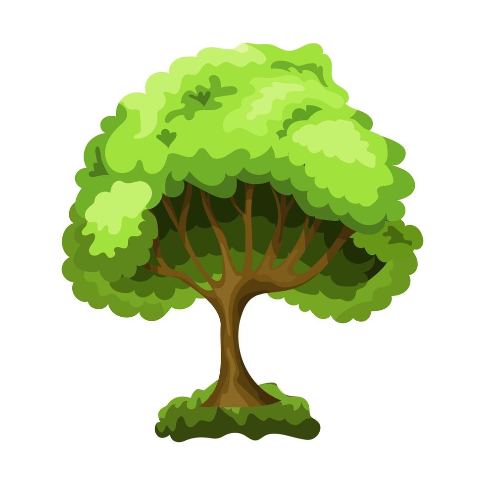 árvore de folha caduca verde realista isolada no fundo branco - vetor
