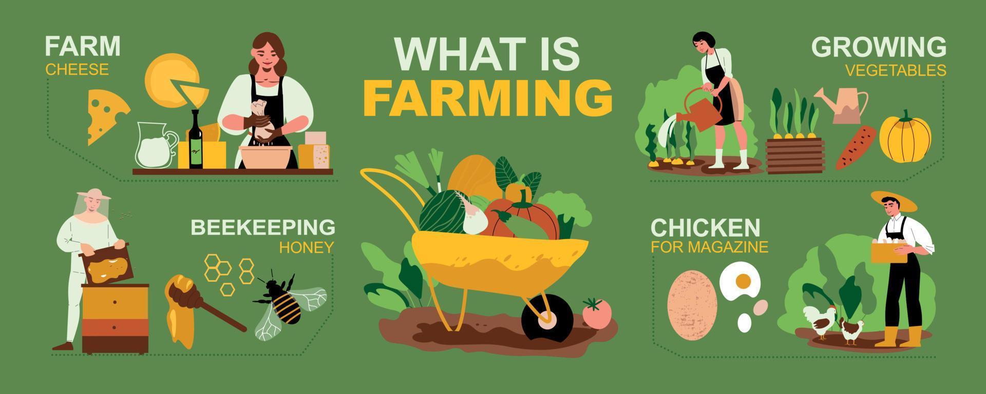 conjunto de infográfico de fazenda vetor